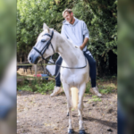 O homem de Harwich admite lavar US $ 12 mil em fraudes românticas que alimentam a espiral do jogo. Homem vestindo um moletom cinza e calças escuras montando um cavalo branco em um ambiente rural ao ar livre com árvores e cercas ao fundo.