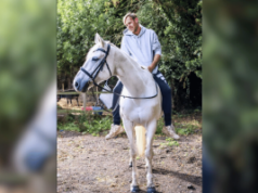 Homem de Harwich admite lavagem de US$ 12 mil em fraudes românticas que alimentam espiral de jogos de azar O homem de Harwich admite lavar US $ 12 mil em fraudes românticas que alimentam a espiral do jogo. Homem vestindo um moletom cinza e calças escuras montando um cavalo branco em um ambiente rural ao ar livre com árvores e cercas ao fundo.