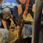 Restos encontrados durante a busca por uma mãe da Flórida que foi dada como desaparecida há 22 anos