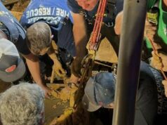 Homem desaparecido da Flórida é encontrado em uma planta de areia com lama até os ombros como areia movediça Restos encontrados durante a busca por uma mãe da Flórida que foi dada como desaparecida há 22 anos