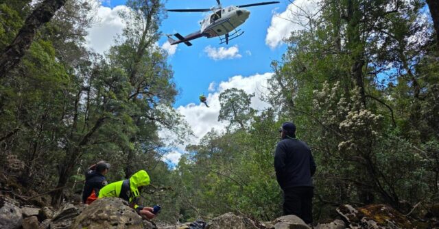Um homem foi encontrado vivo depois de sobreviver quase quatro dias sem comida, água ou suprimentos em um matagal acidentado na Tasmânia. 