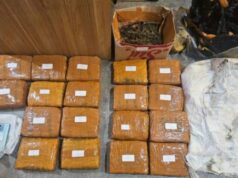 Homem preso no estacionamento Alfamart Kebon Jeruk, oeste de Jacarta, aparentemente armazenando 18 kg de maconha Homem preso no estacionamento Alfamart Kebon Jeruk, oeste de Jacarta, aparentemente armazenando 18 kg de maconha