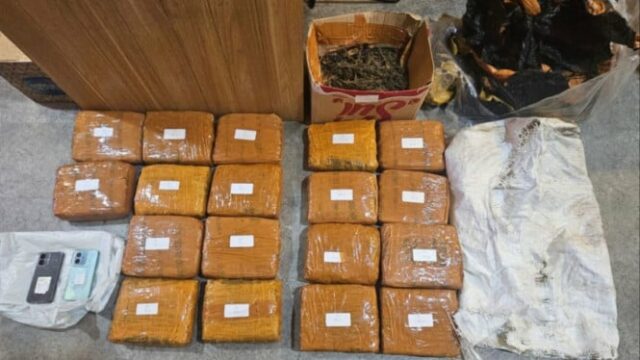 Homem preso no estacionamento Alfamart Kebon Jeruk, oeste de Jacarta, aparentemente armazenando 18 kg de maconha
