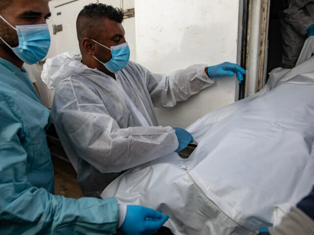 Hospital Nasser de Gaza critica alegação “infundada” de MSF sobre homens armados
