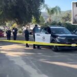 Imagens chocantes mostram o momento horrível em que um vizinho 'psicopata' empunhando uma faca esfaqueia uma menina de 10 anos e seu avô