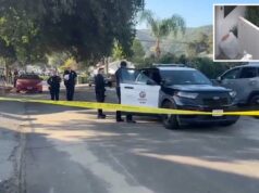 Imagens chocantes mostram o momento horrível em que um vizinho ‘psicopata’ empunhando uma faca esfaqueia uma menina de 10 anos e seu avô Imagens chocantes mostram o momento horrível em que um vizinho 'psicopata' empunhando uma faca esfaqueia uma menina de 10 anos e seu avô