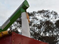 ‘Imposto’ fronteiriço de carbono proposto coloca custos de fertilizantes agrícolas na linha de fogo 'Imposto' fronteiriço de carbono proposto coloca custos de fertilizantes agrícolas na linha de fogo