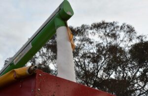 ‘Imposto’ fronteiriço de carbono proposto coloca custos de fertilizantes agrícolas na linha de fogo 'Imposto' fronteiriço de carbono proposto coloca custos de fertilizantes agrícolas na linha de fogo