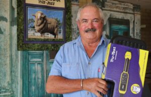 Intensa competição no ringue provavelmente pelos principais prêmios Merino e Poll Merino Intensa competição no ringue provavelmente pelos principais prêmios Merino e Poll Merino