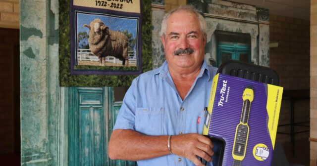 Intensa competição no ringue provavelmente pelos principais prêmios Merino e Poll Merino
