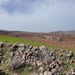 Israel é acusado de pulverizar produtos químicos para envenenar terras agrícolas da Síria