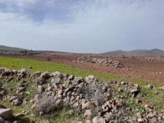 Israel é acusado de pulverizar produtos químicos para envenenar terras agrícolas da Síria Israel é acusado de pulverizar produtos químicos para envenenar terras agrícolas da Síria