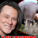 jim carrey ace ventura rhino main getty propstoreauction