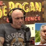 Joe Rogan critica o ex-convidado do podcast que tentou apresentá-lo a Jeffrey Epstein: 'B – ch, você está chapado?'