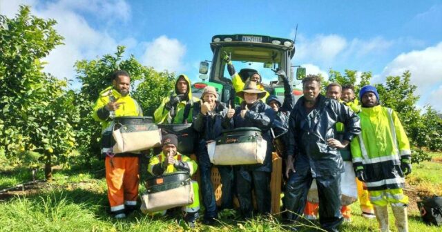 Jovem arma: pequenos momentos na agricultura que construíram uma carreira para Grace
