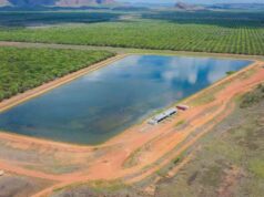 Kingston Rest: 17.470 acres de área produtiva mais 20.000 megas de água Kingston Rest: 17.470 acres de área produtiva mais 20.000 megas de água