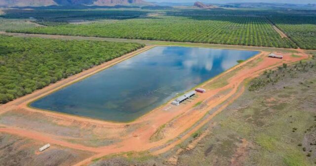 Kingston Rest: 17.470 acres de área produtiva mais 20.000 megas de água
