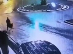 Ladrão de ouro foge em burro Sargento Detetive do Esquadrão Ouro Graham Baylor.