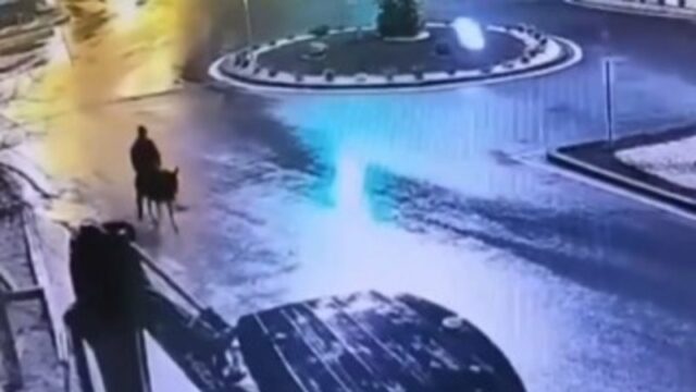 Sargento Detetive do Esquadrão Ouro Graham Baylor.