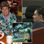 Ladrões sorridentes de Las Vegas culpam a polícia pelo acidente que matou um veterano de 101 anos da Segunda Guerra Mundial - enquanto são condenados à prisão