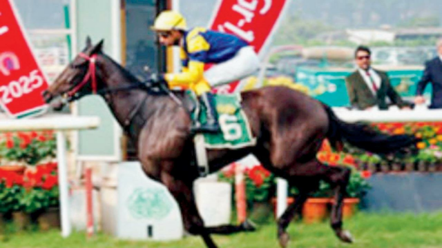 Lady Scarlet poderia ofuscar Buckingham e Blue Jet no confronto Lady Scarlet poderia ofuscar Buckingham e Blue Jet no confronto PBMM