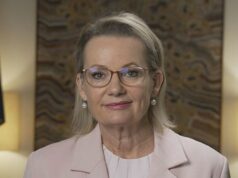 Ley insiste que está “pronta para o trabalho” depois que o senador liberal descarrega Ley insiste que está “pronta para o trabalho” depois que o senador liberal descarrega