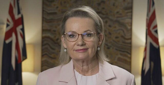 Ley insiste que está “pronta para o trabalho” depois que o senador liberal descarrega
