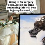 A foto de Vonn foi tirada da perspectiva dela enquanto ela estava deitada em sua cama de hospital nos Estados Unidos, após passar por quatro cirurgias na Itália. Visto em sua área de trabalho está seu falecido cachorro, Leo