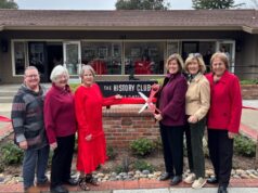 Los Gatos reúne: filmes, música e impulso para uma comunidade mais forte Los Gatos reúne: filmes, música e impulso para uma comunidade mais forte