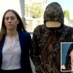 Meio-irmão, 16, suspeito da morte do cruzeiro de carnaval de Anna Kepner comparece ao tribunal federal