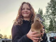 Menina de 12 anos leva um tiro na cabeça ao tentar salvar colegas de classe em ataque no Canadá Colegas disseram que Maya Gebala estava tentando trancar a porta da biblioteca da escola quando foi baleada.