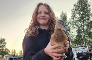 Menina de 12 anos leva um tiro na cabeça ao tentar salvar colegas de classe em ataque no Canadá Colegas disseram que Maya Gebala estava tentando trancar a porta da biblioteca da escola quando foi baleada.