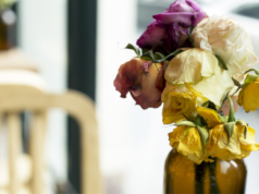 Meus presentes favoritos de Dia dos Namorados (que não são flores) Meus presentes favoritos de Dia dos Namorados (que não são flores)