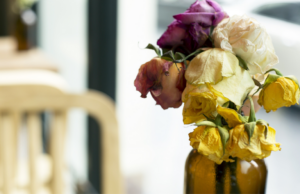 Meus presentes favoritos de Dia dos Namorados (que não são flores) Meus presentes favoritos de Dia dos Namorados (que não são flores)