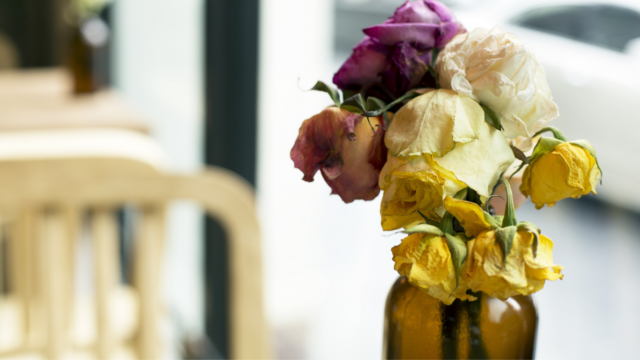 Meus presentes favoritos de Dia dos Namorados (que não são flores)
