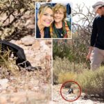 Misteriosa luva preta encontrada perto da casa de Nancy Guthrie pode conter uma pista crucial: ex-agente do FBI