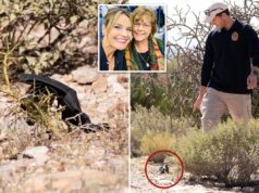 Misteriosa luva preta encontrada perto da casa de Nancy Guthrie pode conter uma pista crucial: ex-agente do FBI Misteriosa luva preta encontrada perto da casa de Nancy Guthrie pode conter uma pista crucial: ex-agente do FBI