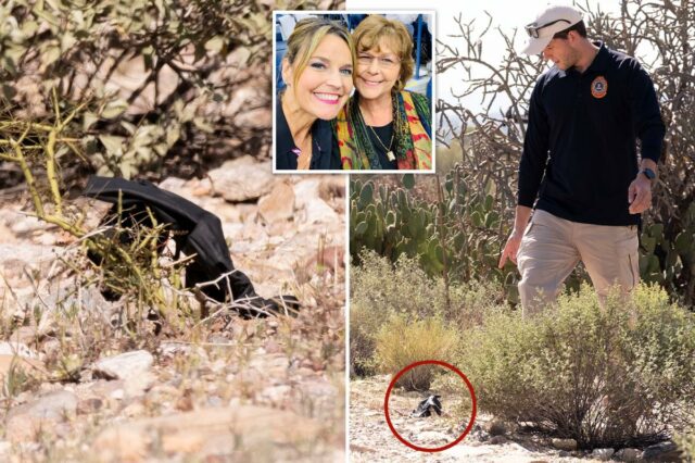 Misteriosa luva preta encontrada perto da casa de Nancy Guthrie pode conter uma pista crucial: ex-agente do FBI
