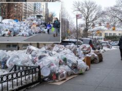 Montanhas de lixo de Nova York se acumulam – inclusive ao redor da Mansão Gracie – à medida que a coleta de lixo é atrasada após a tempestade de neve Montanhas de lixo de Nova York se acumulam – inclusive ao redor da Mansão Gracie – à medida que a coleta de lixo é atrasada após a tempestade de neve