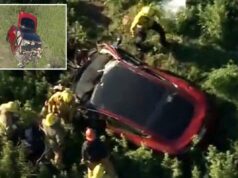 Motorista de Tesla de 16 anos morto em horror cai no cânion de Malibu Langley foi declarado morto no local.