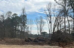 Movimento da água do Lago Caddo morre em sessão da Comissão sem discussão A STACK Infrastructure está limpando terrenos em Blanchard Latex e Stateline Roads – um local que abrange a linha Texas-Louisiana entre Blanchard e Mooringsport.