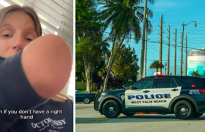 Mulher da Flórida sem a mão direita multada por segurar o telefone na ‘mão direita’ – o que saber sobre distração ao dirigir Mulher da Flórida sem a mão direita multada por segurar o telefone na 'mão direita' - o que saber sobre distração ao dirigir