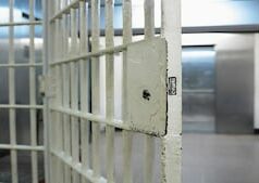 Mulher de 33 anos acusada de atear fogo em prédio que matou um gato, aprende sentença Mulher de 33 anos acusada de atear fogo em prédio que matou um gato, aprende sentença