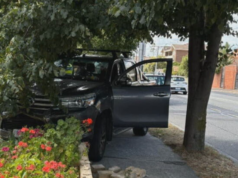 Mulher de Melbourne fazendo jardinagem quando ute entra no jardim da frente O ute bateu em uma cerca de tijolos a poucos metros de onde Wendy Aubrey estava fazendo jardinagem.