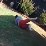 Mulher escapa por pouco após encontro com cobra venenosa