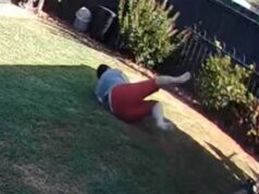 Mulher escapa por pouco após encontro com cobra venenosa Mulher escapa por pouco após encontro com cobra venenosa