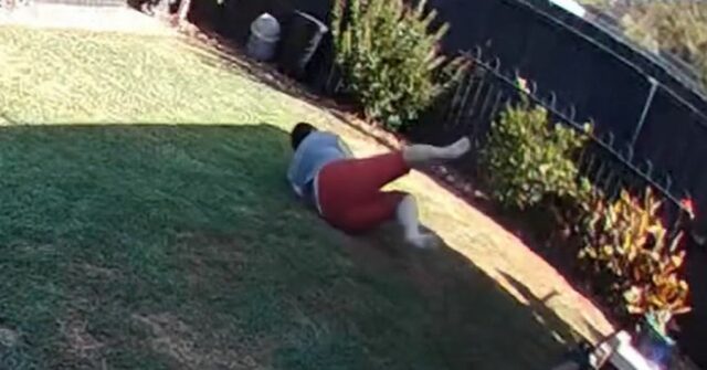 Mulher escapa por pouco após encontro com cobra venenosa
