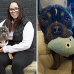 Mulher promove cachorro de resgate – o que ele faz no primeiro dia mostra que não é temporário