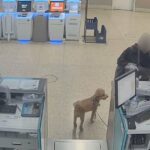 GettyImages-607821858-rapper-and-streamer-aspen-kartier-preso-por-supostamente-abuso-de-cachorro