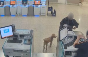 Mulher supostamente abandonou cachorro no balcão da JetBlue no aeroporto de Nevada GettyImages-607821858-rapper-and-streamer-aspen-kartier-preso-por-supostamente-abuso-de-cachorro